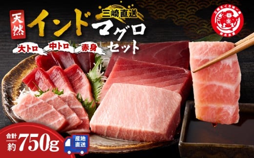 三崎マグロ 鈴木水産 天然インドマグロ(大トロ・中トロ・赤身)セット M105-001