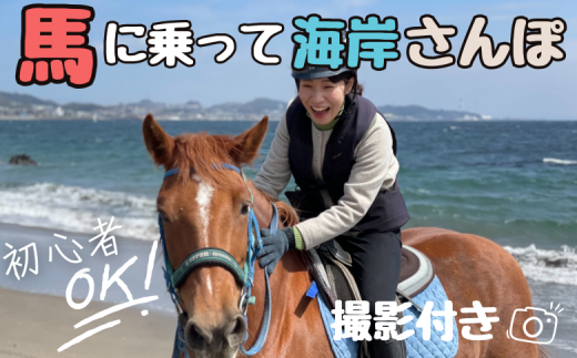 馬と風光明媚な三浦の街と海岸で過ごす 馬に乗って三浦をお散歩 ~海岸外乗120分~ M106-001