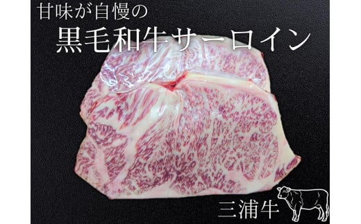 三浦牛サーロイン（400g）　M082-003