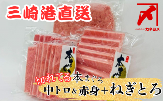 三崎マグロ 卸問屋カネシメの本鮪 中トロ・赤身切れてるお刺身セット+目鉢鮪 ネギトロ M070-007