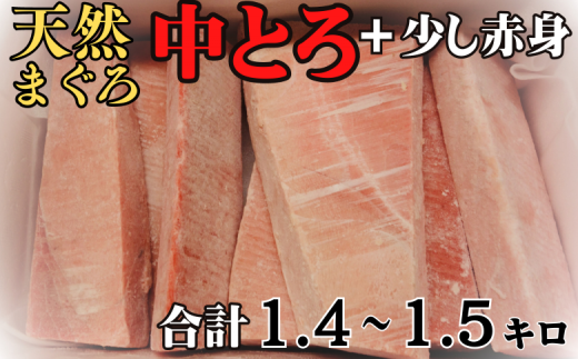 【中トロ主体で1kg以上】三崎の天然目鉢まぐろ M030-016