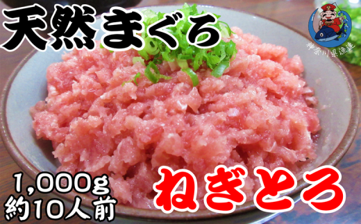 神奈川県漁連 天然マグロ ネギトロ 1kg(500g×2)お徳用 M077-011-02