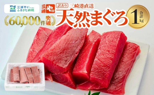 【訳あり】老舗三崎まぐろ問屋から直送！天然マグロ赤身1kg　M063-003-01