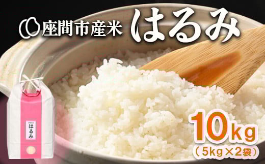 はるみ 10kg(5kg×2袋) ※離島への配送不可 ※2025年10月下旬頃より順次発送予定