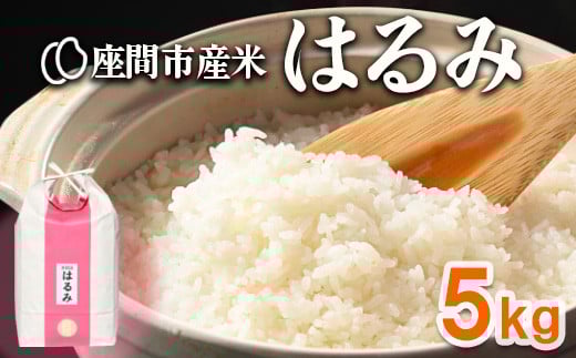 座間市産米 はるみ 5kg ※離島への配送不可 ※2025年10月下旬頃より順次発送予定