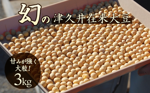 座間市産 津久井在来大豆 3kg| ヘルシー プロテイン イソフラボン 大豆 国産 無添加 業務用
