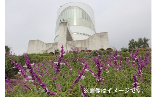 まちが認める事業