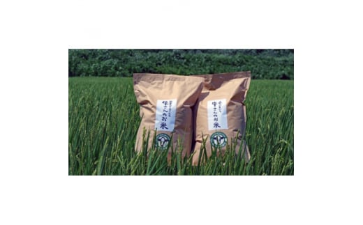 令和7年産「牛さんのお米」はるみ 10kg(5kg×2袋)【1350013】