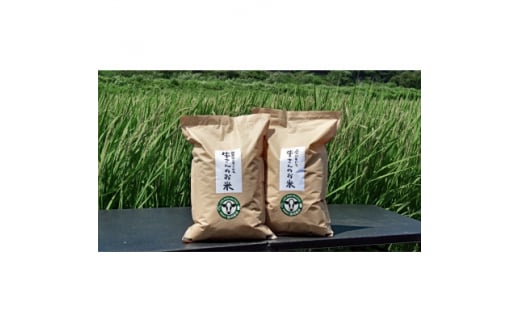 令和7年産「牛さんのお米」はるみ 6kg(3kg×2袋)【1350016】