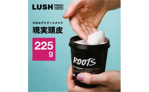 LUSH ラッシュ スカルプトリートメント 現実頭皮 ハンドメイドコスメ_LUSH ラッシュ スカルプトリートメント スカルプ トリートメント ミント 頭皮ケア 頭皮 スカルプケア 美容 コスメ 日用品 贈答 ギフト プレゼント 神奈川県 送料無料【1550094】