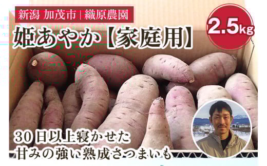 【2025年先行予約】新潟県 加茂市産 姫あやか 【家庭用】 2.5kg 《11月上旬~順次発送》 人気 さつまいも 訳あり 家庭用 さつまいも 熟成 さつまいも しっとり甘みの強い さつまいも 焼き芋 焼芋 スイートポテト 加茂市 織原農園