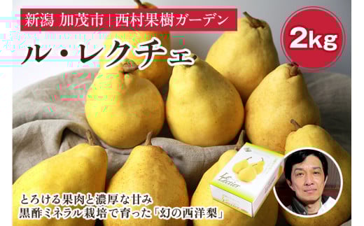【2025年先行予約】西村の黒酢ミネラル栽培「ル・レクチェ」2kg （3～7玉）《11月下旬〜順次発送》 幻の西洋梨 梨 果実 フルーツ 冬の味覚 加茂市 西村果樹ガーデン