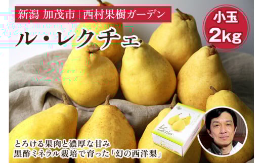 【2025年先行予約】西村の黒酢ミネラル栽培「ル・レクチェ」（小玉） 2kg（8～9玉）《11月下旬〜順次発送》 幻の西洋梨 梨 果実 フルーツ 冬の味覚 加茂市 西村果樹ガーデン