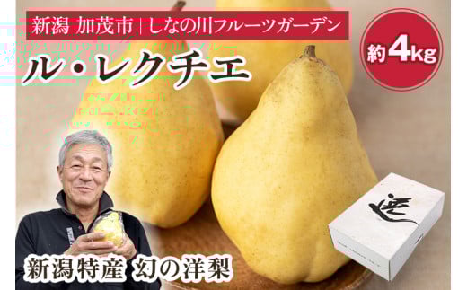 【2025年先行予約】新潟特産 幻の洋梨 ル・レクチェ 【赤秀品】 約4kg （9～12個）《11月下旬～お届け》 果物 フルーツギフト 冬の味覚 産地直送 加茂市 山伴しなの川フルーツガーデン