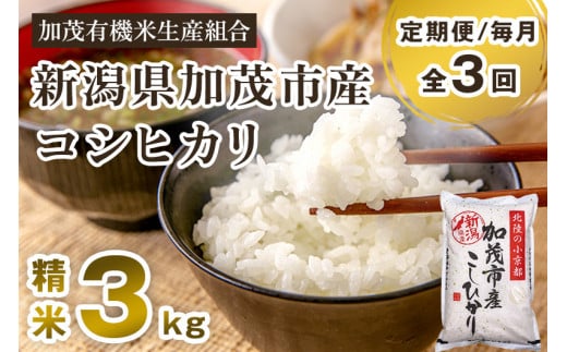 [令和7年産新米先行予約][定期便3回毎月お届け]新潟県加茂市産コシヒカリ 精米3kg [10月中旬から順次出荷 ]白米 加茂有機米生産組合 定期便