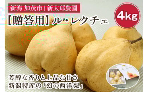 【2025年先行予約】【贈答用】幻の洋梨 ル・レクチェ4kg（9～14玉） 《11月下旬から順次発送》 化粧箱入り 果物 フルーツ ギフト 贈答  加茂市産ル・レクチェ  梨 西洋梨 加茂市 新太郎農園