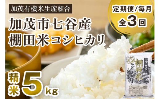 [令和7年産新米先行予約][定期便3回毎月お届け]七谷産 棚田米 コシヒカリ 精米 5kg [10月中旬から順次出荷] 白米 加茂有機米生産組合 新潟県 加茂市産 白米 米 お米 定期便