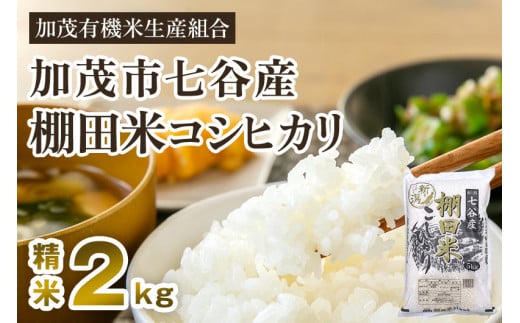 [令和7年産新米先行予約]新潟県加茂市 七谷産 棚田米コシヒカリ 精米2kg [10月中旬から順次出荷] 白米 加茂有機米生産組合