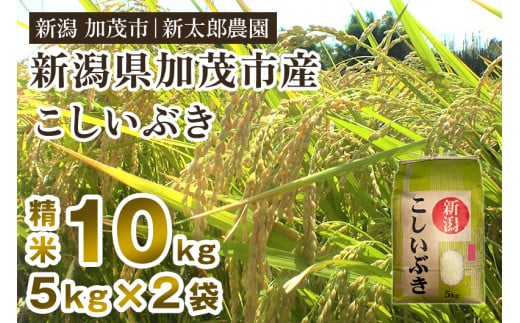 【令和7年産新米】新潟県加茂市産こしいぶき 精米10kg（5kg×2袋） 《順次出荷》 コシイブキ お米 ライス ごはん ご飯 新潟米 新潟産 加茂市産 新太郎農園