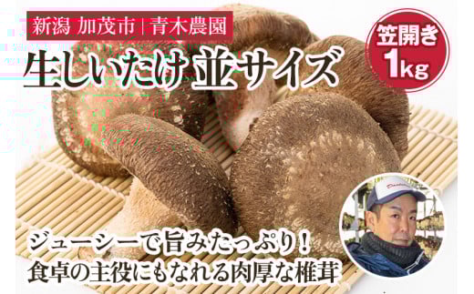 【2025年先行予約】生しいたけ 並サイズ(笠開き) 約1kg(23~35個)《10月中旬から順次出荷》 品評会で金賞受賞! きのこ しいたけ 椎茸 特大 食べ応えある大きさ 肉厚で旨味たっぷり! 加茂市 青木農園