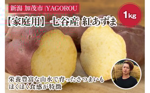 【2025年先行予約】【家庭用】紅あずま 1kg(A品・B品混在) 新潟県加茂市七谷産 さつまいも《10月下旬〜順次発送》 サツマイモ お芋 焼き芋 スイートポテト 野菜 根菜 低温熟成 加茂市 YAGOROU ヤゴロウ