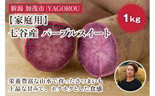 【2025年先行予約】【家庭用】パープルスイート 1kg(A品・B品混在) 新潟県加茂市七谷産 さつまいも《11月下旬〜順次発送》 サツマイモ お芋 焼き芋 スイートポテト 野菜 根菜 低温熟成 加茂市 YAGOROU ヤゴロウ