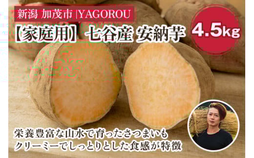 【2025年先行予約】【家庭用】安納芋 4.5kg(A品・B品混在) 新潟県加茂市七谷産 さつまいも《11月下旬〜順次発送》 サツマイモ お芋 焼き芋 スイートポテト 野菜 根菜 低温熟成 加茂市 YAGOROU ヤゴロウ