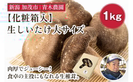 【2025年先行予約】【化粧箱入】生しいたけ 大サイズ 約1kg(19~27個)《10月中旬から順次発送》 品評会で金賞受賞!  きのこ しいたけ 椎茸 特大 食べ応えある大きさ 肉厚で旨味たっぷり! ギフト 加茂市 青木農園