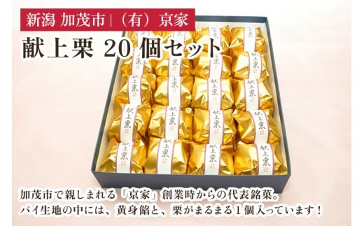 献上栗 20個セット 和菓子 お菓子 スイーツ 和スイーツ くり マロン 焼菓子 焼き菓子 銘菓 京家 加茂市