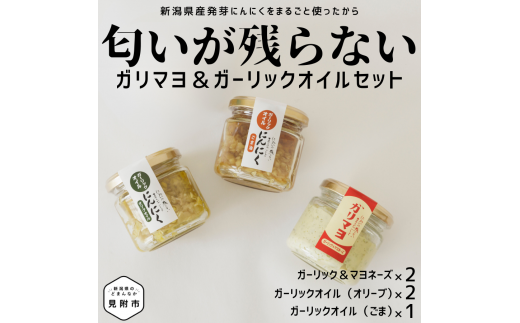 ガリマヨ&食べるにんにくオイル 食べ比べセット ガリマヨ 2個 食べるにんにくオイル(オリーブオイル) 2個 食べるにんにくオイル(ごま油) 1個 kimataファーム ガーリックオイル にんにく スプラウト 臭わない 唐揚げに合う 新潟県 見附市