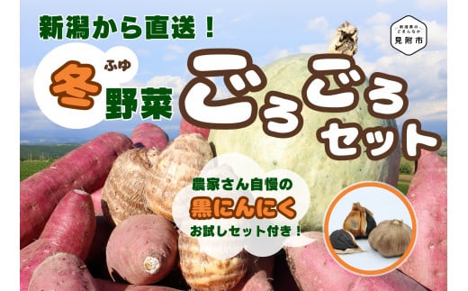 産直みつば 新潟直送！ 冬野菜 ごろごろセット 旬の野菜 サツマイモ 里芋 カボチャなども入る 新潟県 見附市