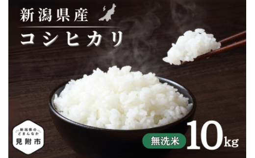 令和7年産 新潟県産 コシヒカリ 10kg 無洗米 新米 お米 白米 コシヒカリ こしひかり おすすめ 人気 こめ コメ 新潟 見附 見附市 7年 2025年産 ふるさと納税 諸長
