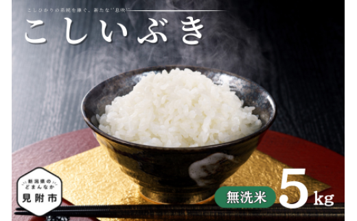 令和7年産 新潟県産 こしいぶき 5kg 無洗米 新米 お米 白米 コシヒカリ こしひかり おすすめ 人気 こめ コメ 新潟 見附 見附市 7年 2025年産 ふるさと納税 諸長