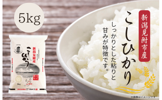 令和7年産 新潟見附市産コシヒカリ5kg