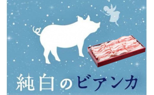 純白のビアンカ 豚バラしゃぶしゃぶ用 500g 豚肉 ぶた ぶた肉 肉 お肉 国産 冷凍 箱入り のし 贈答 ギフト プレゼント お中元 お歳暮 父の日 母の日 敬老の日 鍋 すき焼き 蒸し 新鮮 新潟県 阿賀野市 冷凍 1D02008