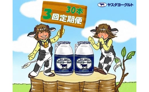 【3ヶ月定期便】ヤスダヨーグルト 150g×30本×3回 小ボトル 無添加 搾りたて こだわり生乳 濃厚 飲むヨーグルト のむよーぐると ヨーグルト 1B12040