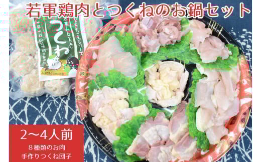 若軍鶏肉 （メス）と 工房謹製 つくね団子 のお鍋セット ひよころ鶏園 鶏肉 モモ もも ムネ むね ササミ ささみ 手羽 つくね 手作り ふんわり 柔らか  蓮根 れんこん 生姜 お子様 こども お年寄り 鍋 国産 新潟県 阿賀野市 冷凍 1R11011
