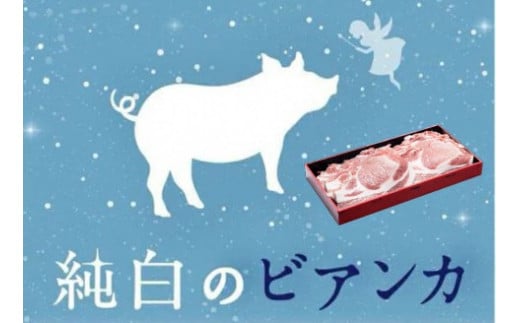 純白のビアンカ 豚ロースポークステーキ 130g×6枚 豚肉 ぶた ぶた肉 肉 お肉 国産 冷凍 箱入り のし 贈答 ギフト プレゼント お中元 お歳暮 父の日 母の日 敬老の日 焼肉 BBQ 新鮮 新潟県 阿賀野市 冷凍 1D04012
