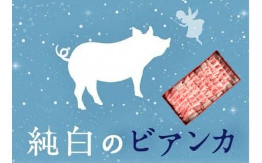 純白のビアンカ 豚バラ焼肉用 800g 豚肉 ぶた ぶた肉 肉 お肉 国産 冷凍 箱入り のし 贈答 ギフト プレゼント お中元 お歳暮 父の日 母の日 敬老の日 焼肉 BBQ 新鮮 新潟県 阿賀野市 冷凍 1D06011
