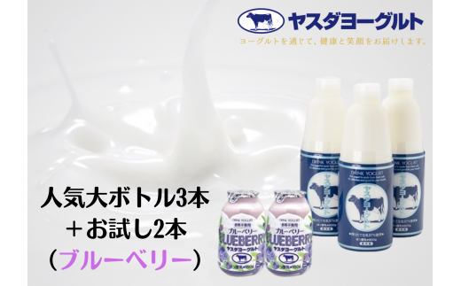 ヤスダヨーグルト 特別お試しセット 人気大ボトル3本 + お試し小ボトル2本 800g×3本 + 150g×2本 ブルーベリー 無添加 搾りたて こだわり生乳 濃厚 飲むヨーグルト のむよーぐると モンドセレクション ヨーグルト 1B73007