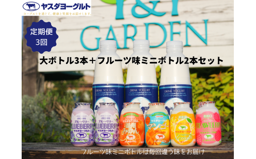 【3ヶ月定期便】ヤスダヨーグルト ちょい足しフルーツセレクションセットお試し便 大ボトル800g×3本+小ボトル150g2本  無添加 搾りたて こだわり生乳 濃厚 飲むヨーグルト のむよーぐると  ヨーグルト 1B86019