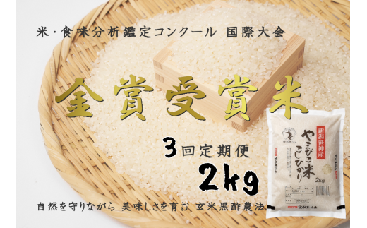 【令和7年産新米】【3か月定期便】コシヒカリ「やまびこ米」2kg×3回 玄米黒酢農法 金賞受賞 特別栽培米 白米 精米 農家直送 1P07021