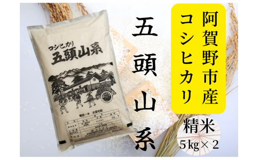 【令和7年産新米】【新潟産コシヒカリ】10kg「五頭山系」 米屋のこだわり阿賀野市産 米屋かたぎり 1E02035