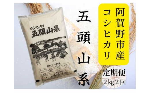 【令和7年産新米】【2回定期便】「米屋のこだわり阿賀野市産」コシヒカリ2kg×2回 1E04015