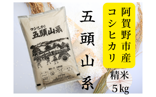 [令和7年産新米][新潟産コシヒカリ] 5kg 「五頭山系」 米屋のこだわり阿賀野市産 米屋かたぎり 9月中旬より順次発送 1E01018