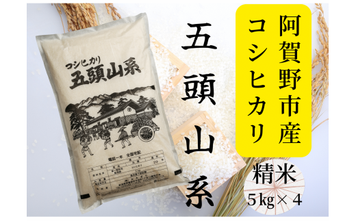 【令和7年産新米】「米屋のこだわり阿賀野市産」コシヒカリ どーんと20kg (5kg×4袋)！ 新潟産コシヒカリ 米屋かたぎり 1E03068