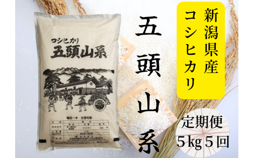 【令和7年産新米】【5回定期便】「米屋のこだわり阿賀野市産」コシヒカリ５kg×5回 1E22084