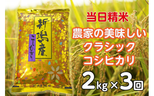【令和7年産新米】【3ヶ月定期便】 当日精米! 農家直送 美味しい クラシックコシヒカリ 2kg×3回 計6kg 精米 白米 水原町農産センター 1F21021
