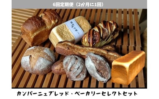 [6回定期便]しょこら亭 カンパーニュブレッド・ベーカリーセレクト 2ヶ月毎×6回 パン 詰め合わせ 冷凍 1Z50121
