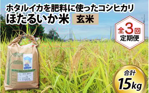 【先行予約】【新米】ほたるいか米(玄米5kg)×3回 計15kg【3ヶ月定期便】25年10月開始【訳あり 米 コシヒカリ こしひかり ほたるいか ホタルイカ お米 ブランド米 富山 滑川】